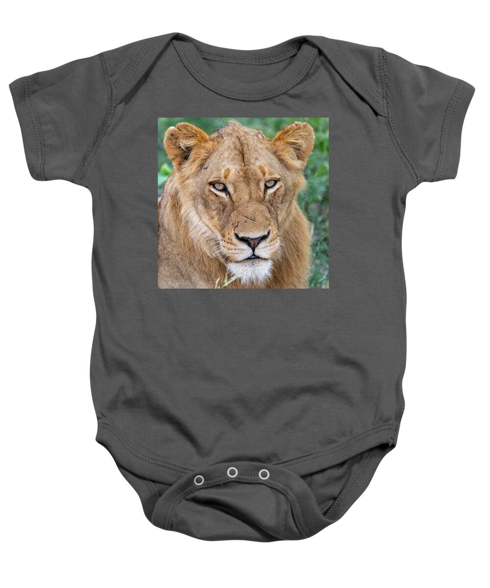 Lion Baby Onesie featuring the photograph The Face of Experience by Mark Hunter