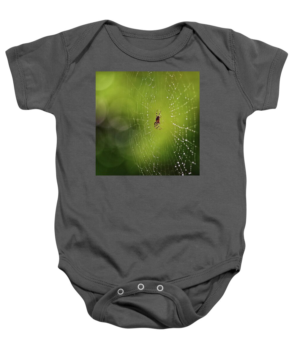 Spider Baby Onesie featuring the photograph The great architect in the morning light by Tatiana Travelways