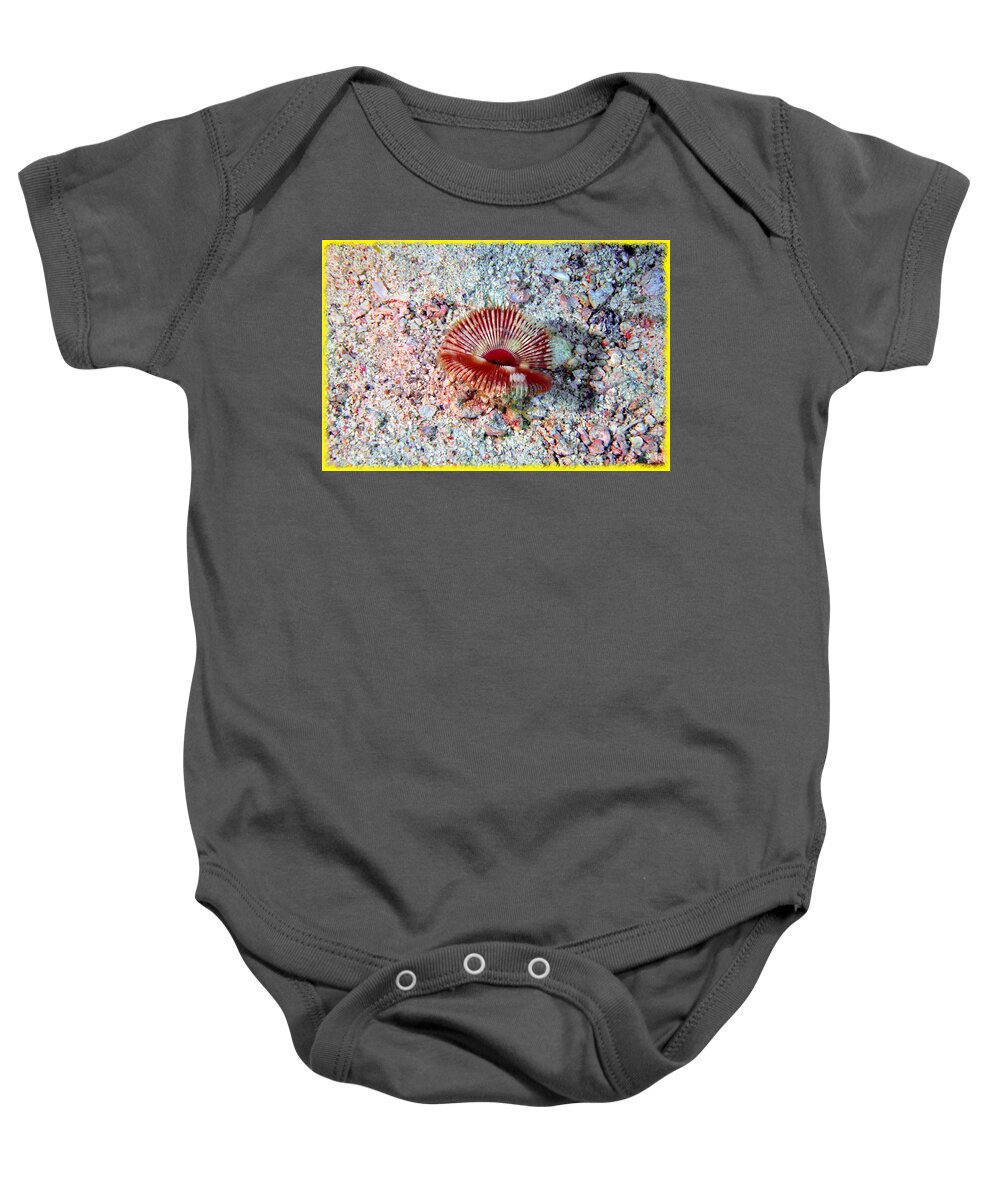 Split-crown Featherduster Worm Baby Onesie featuring the photograph The Split-crown and the Rubble by Climate Change VI - Sales
