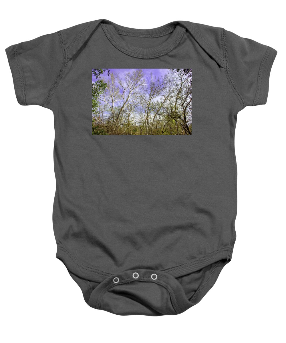 Nature Wood Timber Baby Onesie featuring the photograph The Timberlands by Rocco Silvestri