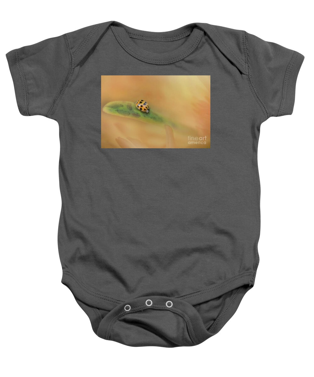 Black And Yellow Lady Bugs Baby Onesie featuring the photograph The Voyage of Discovery by Mary Lou Chmura