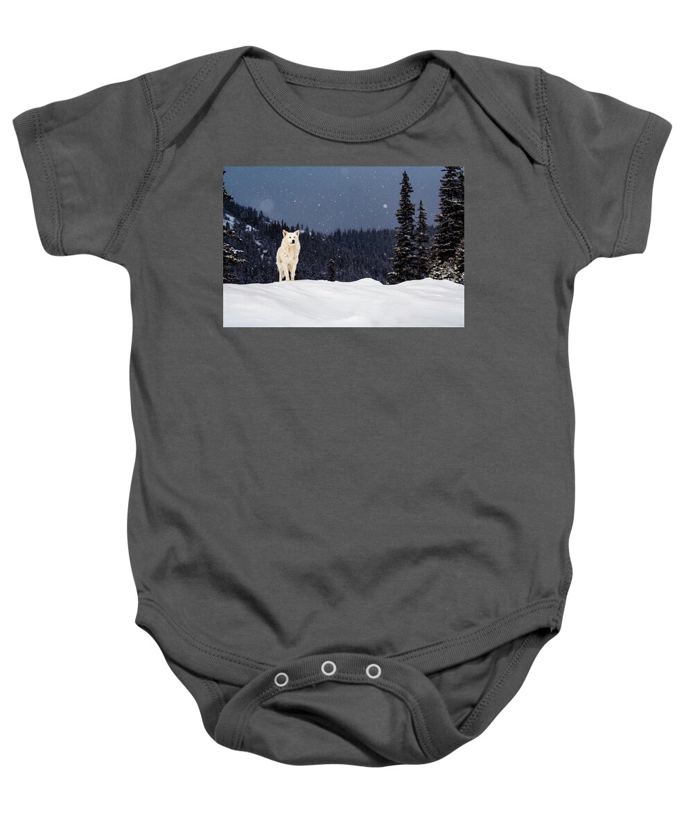 Animals Baby Onesie featuring the photograph The Wolf by Evgeni Dinev