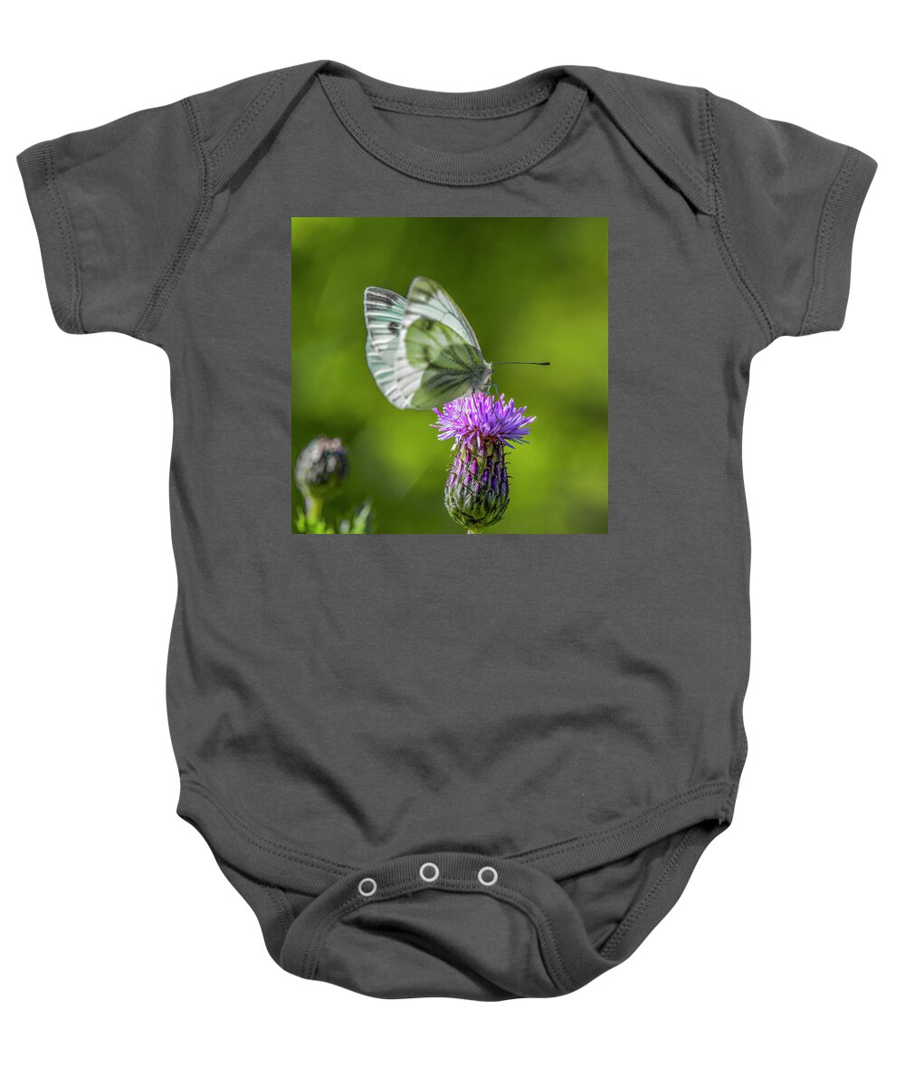 Thistle Dinner Baby Onesie featuring the photograph Thistle dinner #i9 by Leif Sohlman