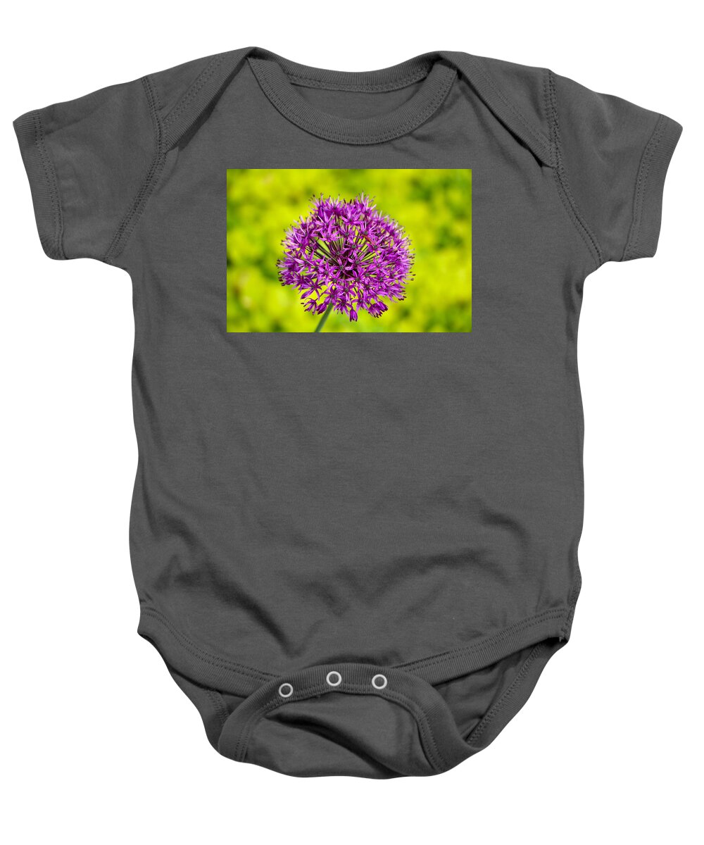Flower Baby Onesie featuring the photograph Thistle Do? Nope - A Purple Sensation Allium by Lin Grosvenor