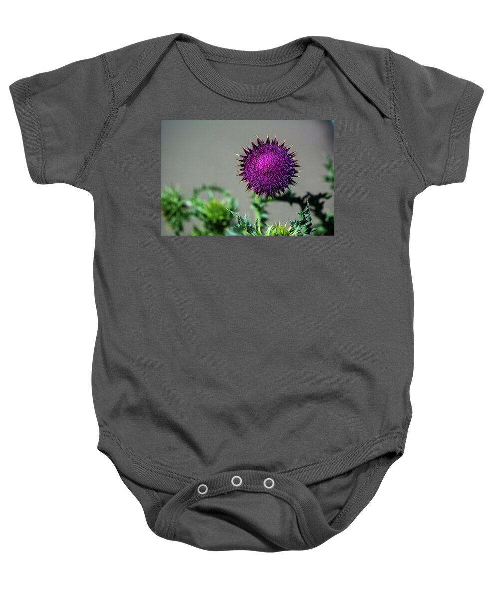 Canadian Thistle Baby Onesie featuring the photograph Thistle Do Nicely by Douglas Wielfaert