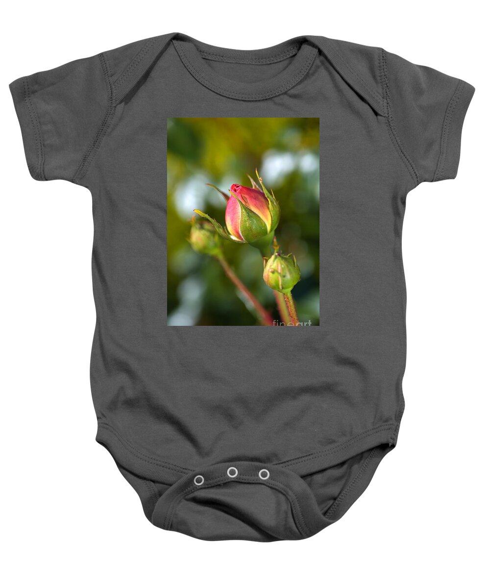 Abraham Darby Rose Flower Baby Onesie featuring the photograph Three Rose Buds by Joy Watson
