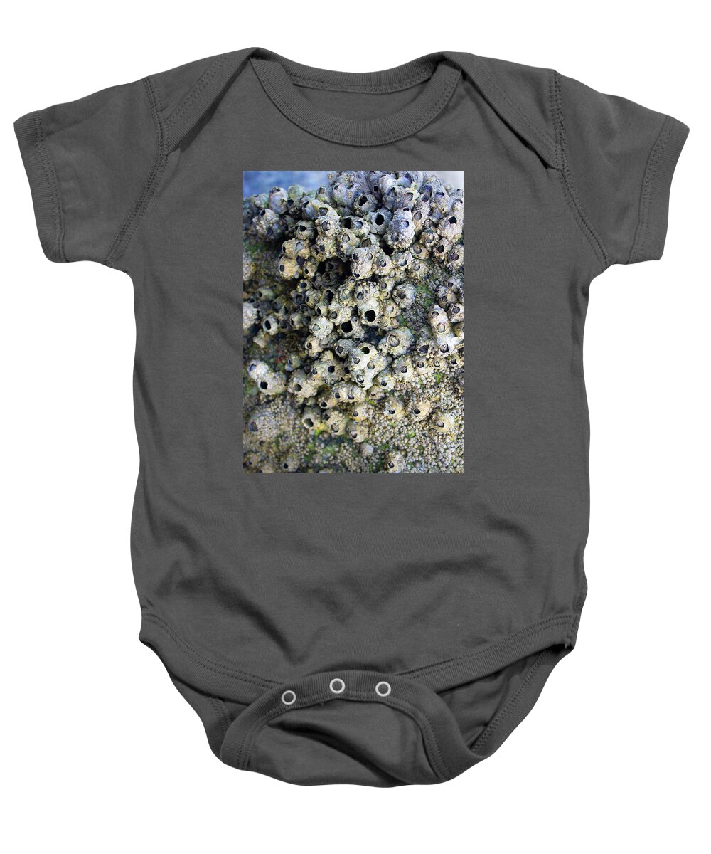 Intertidal Zone Baby Onesie featuring the photograph Tidal Pool 5 by Megan Dirsa-DuBois