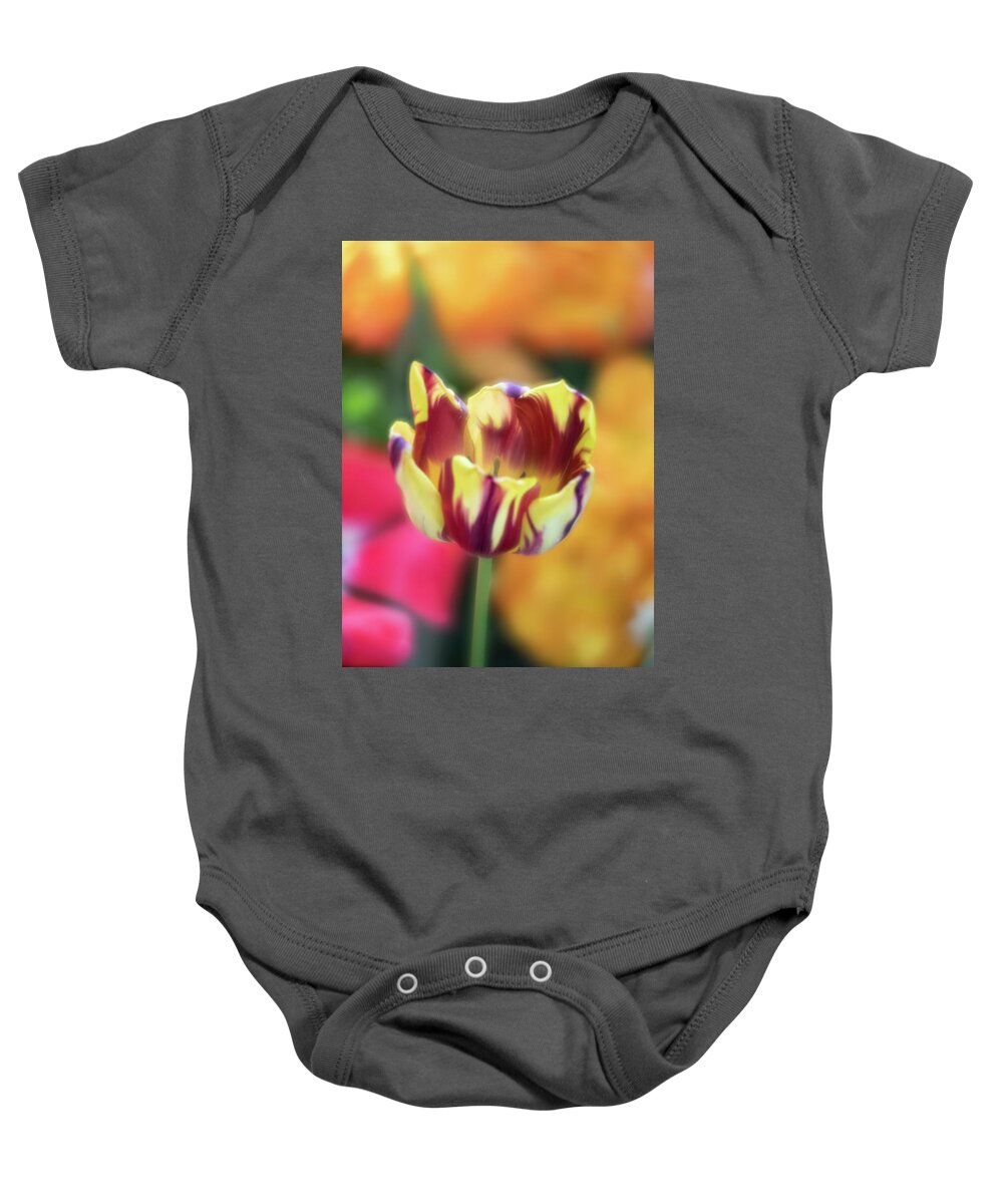 Tiger Tulip Flower Floral Botany Botanical Botanic Softfocus Soft Focus Brian Hale Brianhalephoto Ma Mass Massachusetts New England Newengland U.s.a. Usa Baby Onesie featuring the photograph Tiger Tulip 2 by Brian Hale