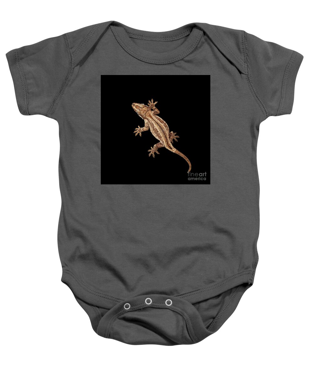 Reptile Baby Onesie featuring the photograph Top view of Gargoyle Gecko, Rhacodactylus auriculatus staring Isolated on black background. Native t by Sergey Taran