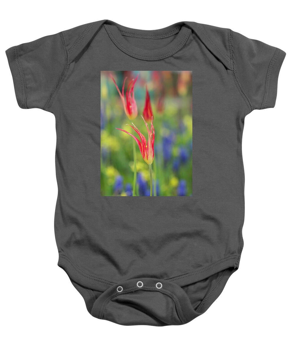 Colorful Baby Onesie featuring the photograph Turkish Tulips by Arthur Oleary