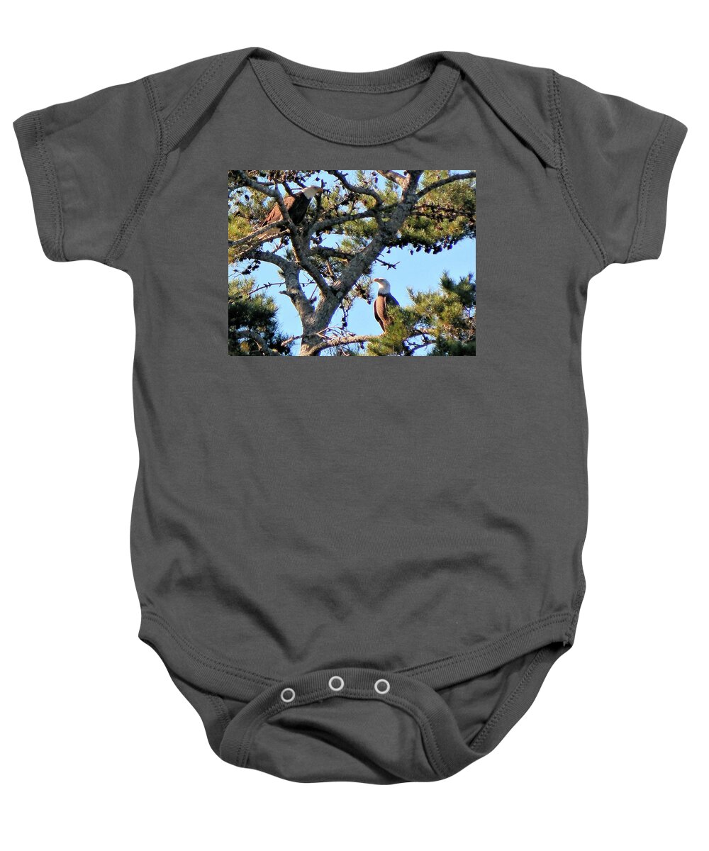 Birds Baby Onesie featuring the photograph Two Eagles by Karen Stansberry