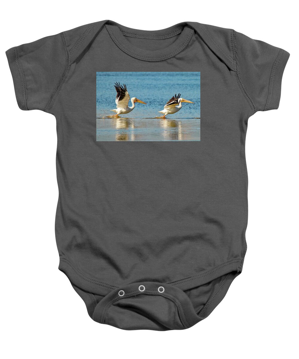Bird Baby Onesie featuring the photograph Two Pelicans Taking Off by Susan Rydberg