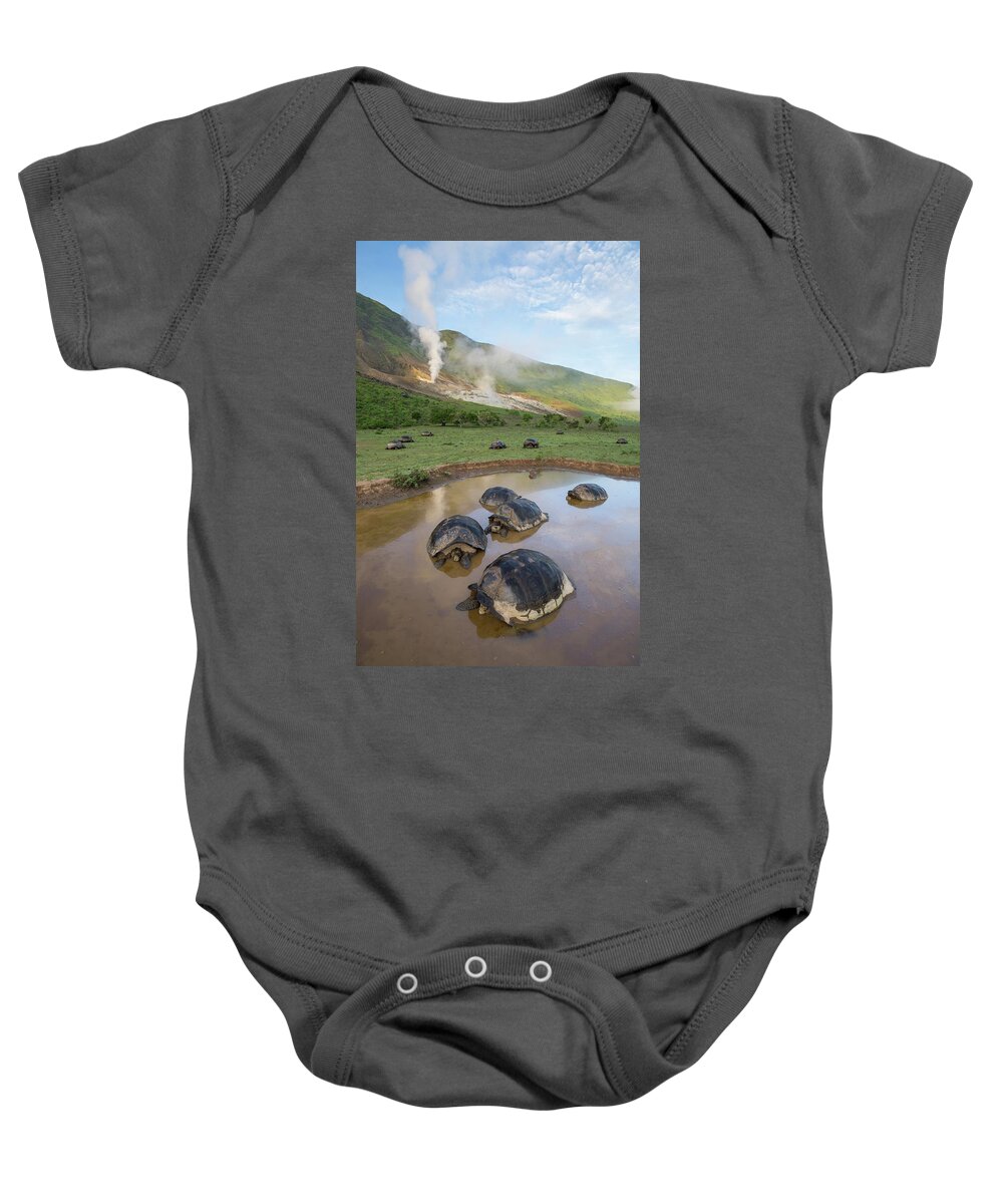 Animal Baby Onesie featuring the photograph Volcan Alcedo Tortoises Wallowing by Tui De Roy