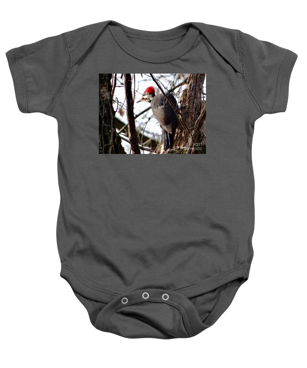 © 2018 Baby Onesie featuring the photograph WaryPileated by Christopher Plummer