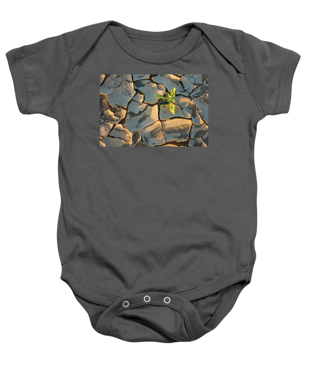 Estock Baby Onesie featuring the digital art Weed Growing Out Of Parched Earth by Manfred Bortoli
