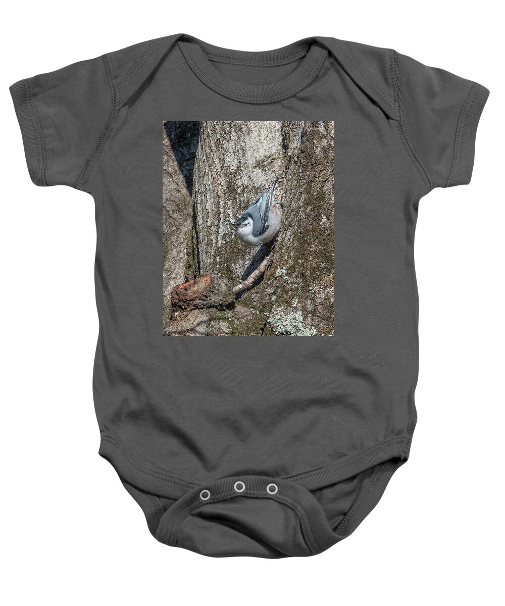Nature Baby Onesie featuring the photograph White-breasted Nuthatch DSB0336 by Gerry Gantt