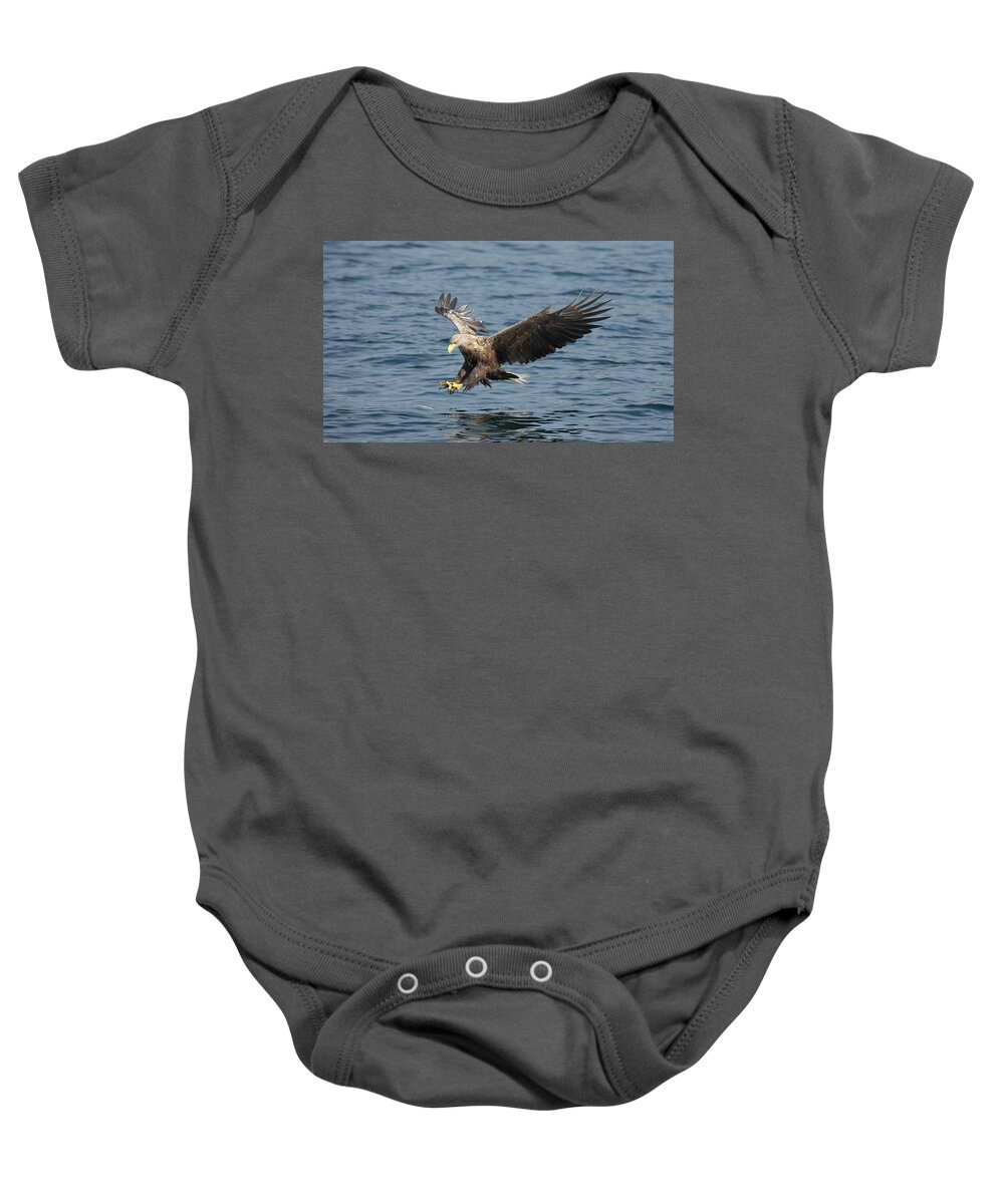 White Baby Onesie featuring the photograph White-Tailed Eagle Fishing by Pete Walkden