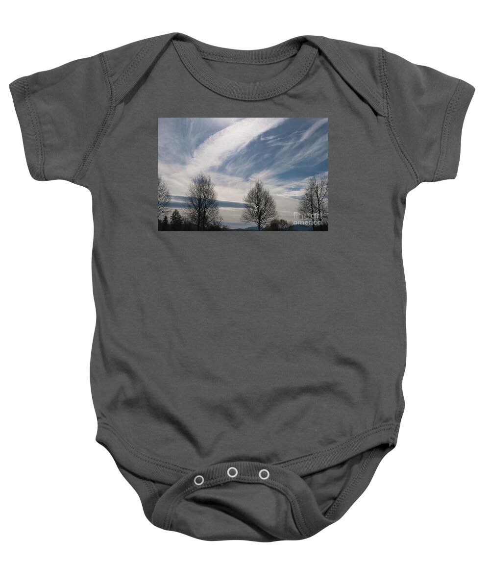 Winter Baby Onesie featuring the photograph Winter Tree's - Biltmore Estate by Dale Powell