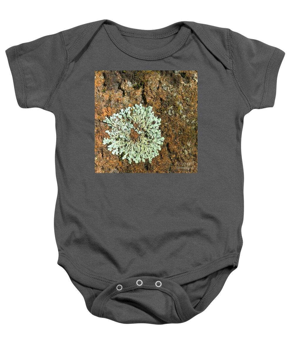 Photography Baby Onesie featuring the photograph Woodland 54 by Amy E Fraser