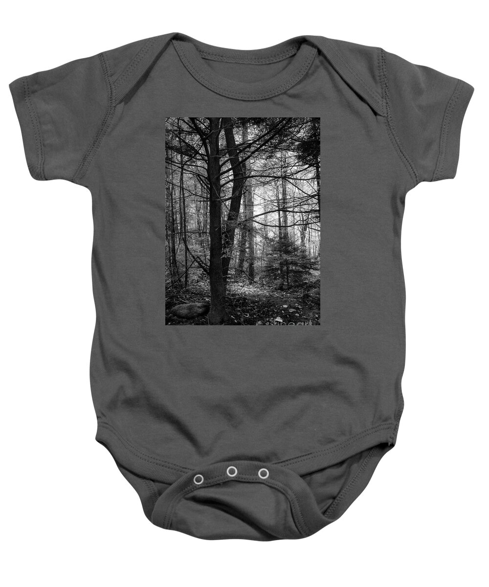 Forest Baby Onesie featuring the photograph Woodland Scene by Mike Eingle