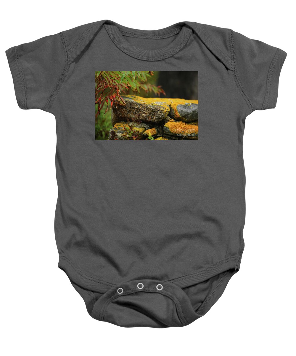 Yellow Moss Baby Onesie featuring the photograph Yellow Moss by Terri Brewster