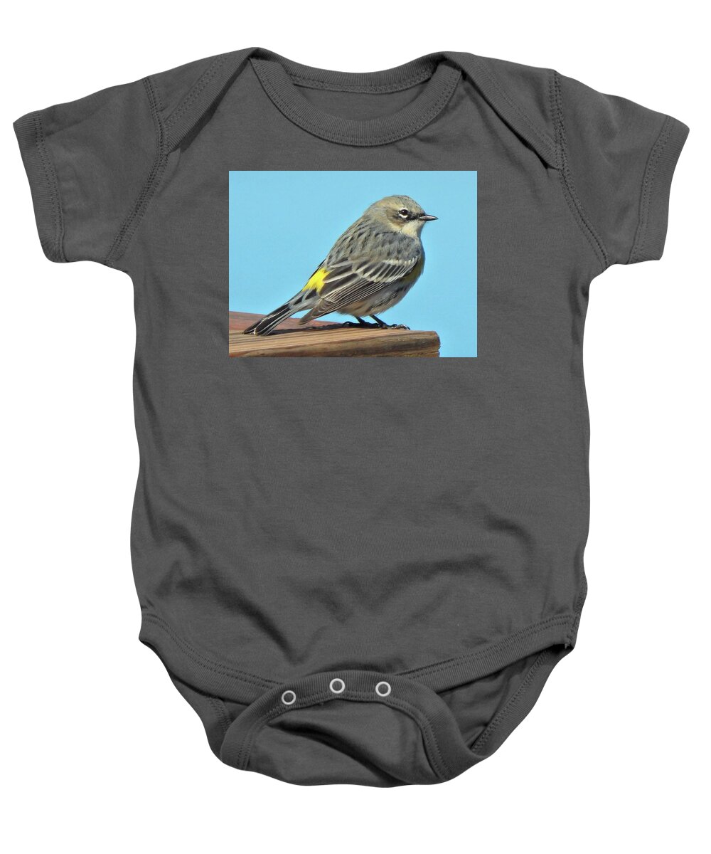Bird Baby Onesie featuring the photograph Yellow-rumped Warbler Perfect Pose by Karen Stansberry
