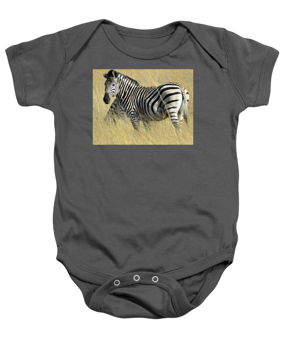 Africa Baby Onesie featuring the photograph Zebra by Eric Pengelly