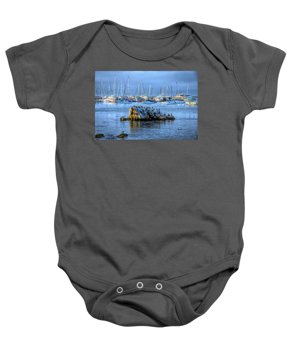 Seascape Baby Onesie featuring the photograph A Cold Gray Day on Bird Rock #1 by Floyd Snyder