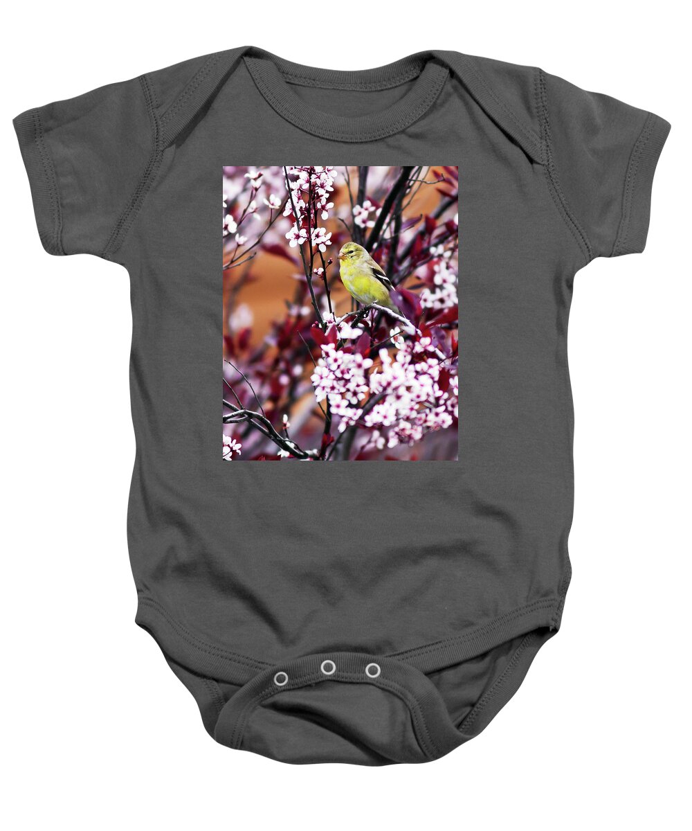 American Goldfinch Baby Onesie featuring the photograph American Goldfinch #1 by John Rowe