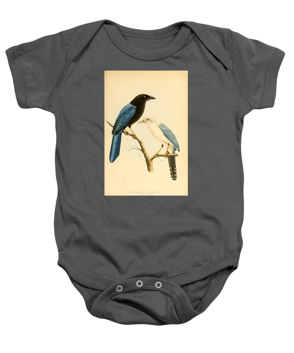 Prints Of Birds Baby Onesie featuring the mixed media Antique Bird Illustrations #1 by World Art Collective