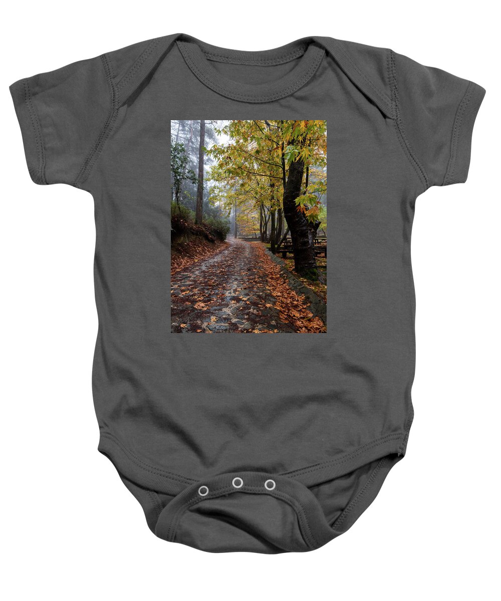 Autumn Baby Onesie featuring the photograph Autumn landscape with trees and Autumn leaves on the ground after rain #2 by Michalakis Ppalis