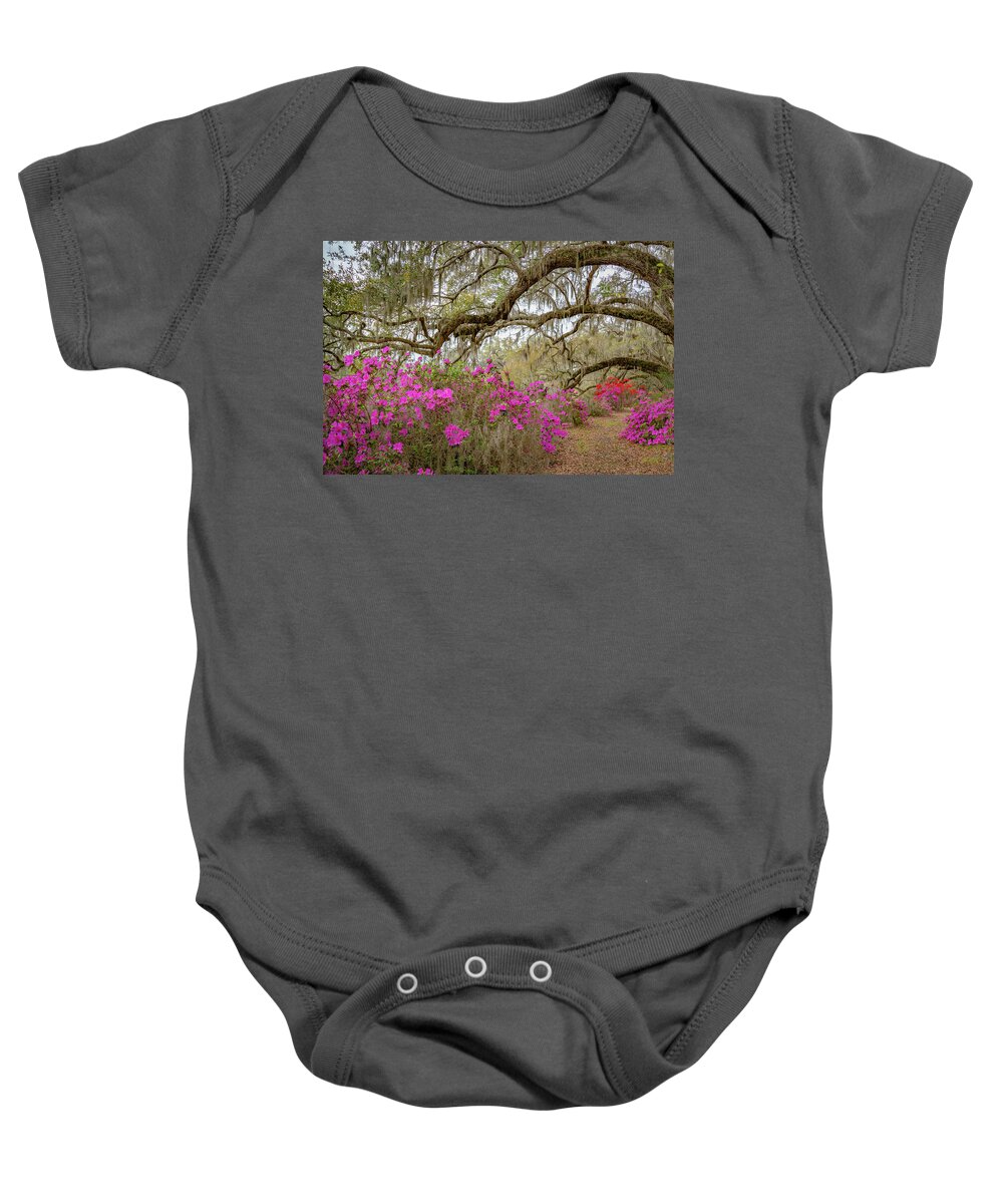 Flowers Baby Onesie featuring the photograph Avenue of Oaks in Spring #1 by Cindy Robinson