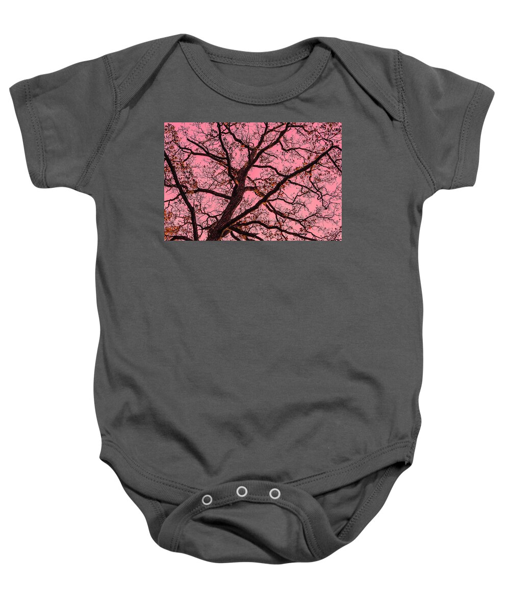 Bare Tree Zion Illinois Red Yellow Branches Baby Onesie featuring the photograph Bare Tree in Zion, Illinois #1 by David Morehead