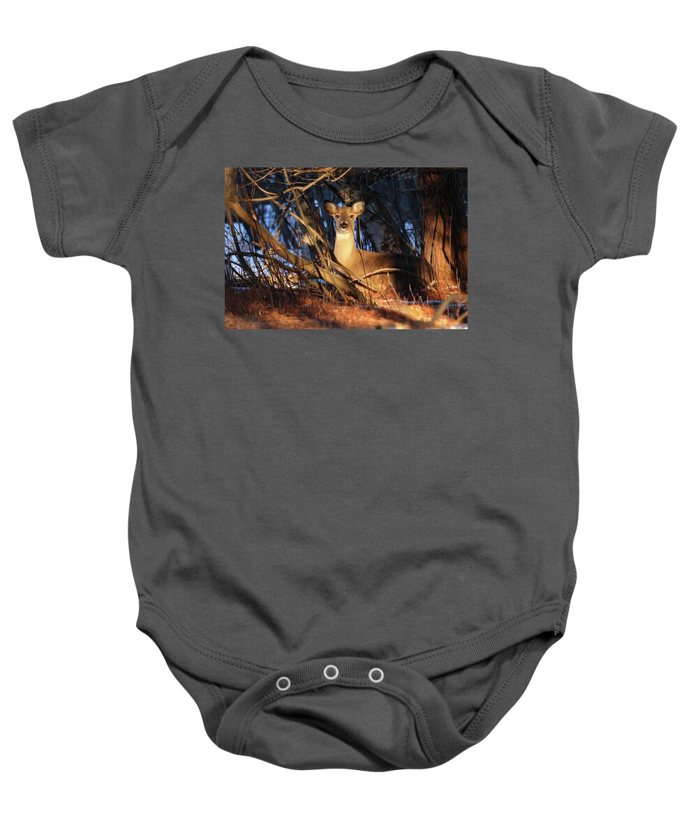 Bedded Doe Baby Onesie featuring the photograph Bedded Doe #1 by Brook Burling
