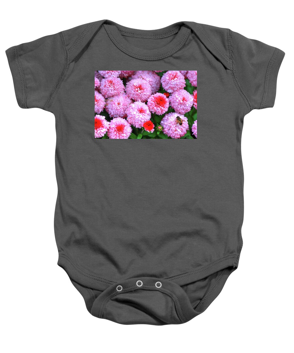 Honeybee Baby Onesie featuring the photograph Bee Among the Mums #1 by Robert Harris