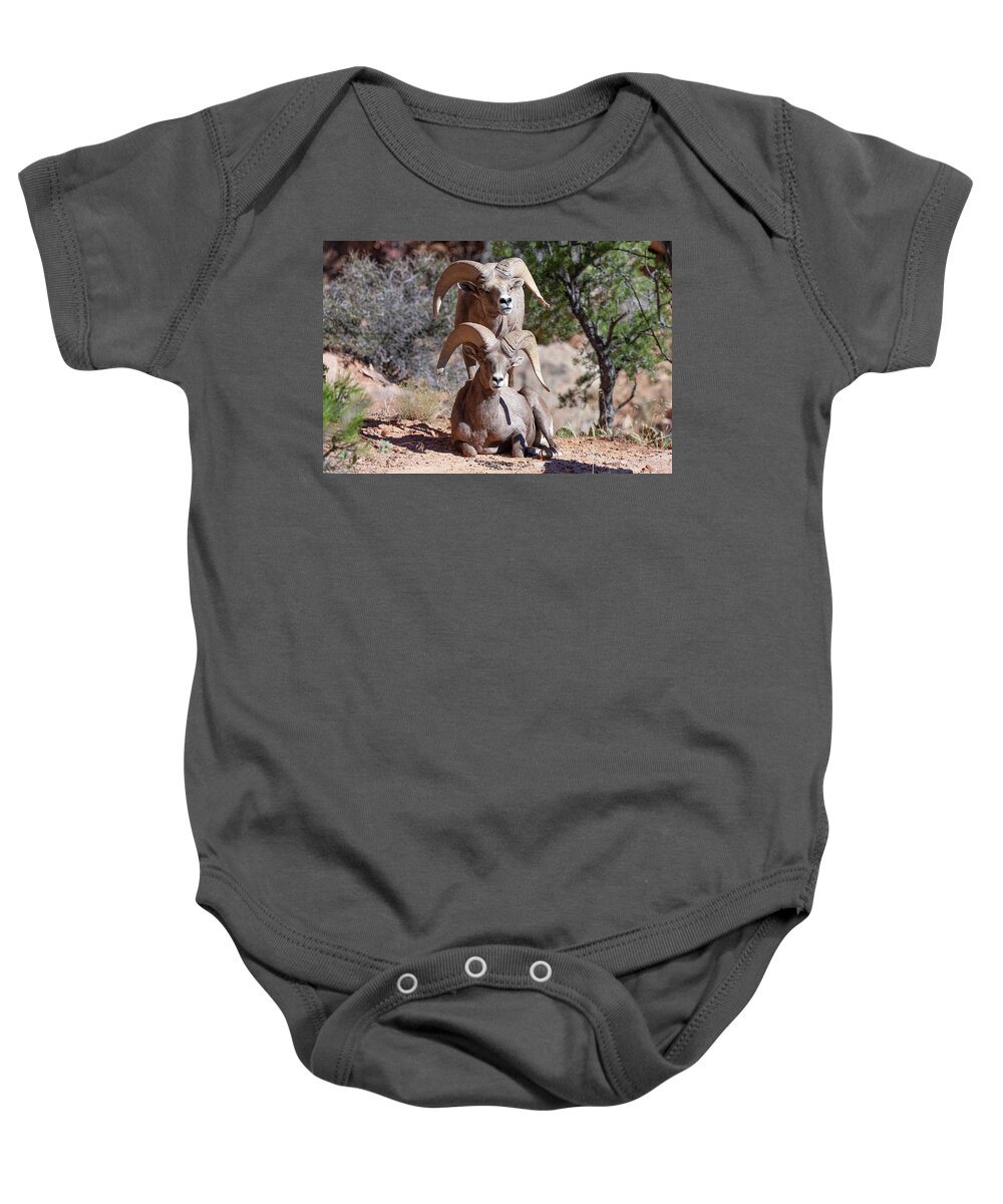 Zion Baby Onesie featuring the photograph Blockade  #1 by James Marvin Phelps