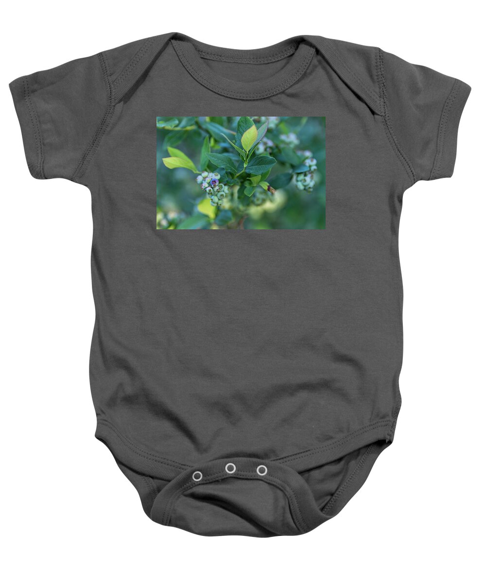 Blueberry Baby Onesie featuring the photograph Blueberry Bush #1 by Amelia Pearn