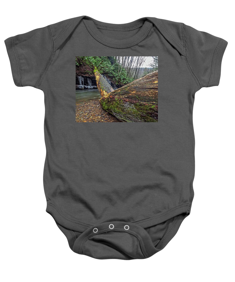 Tree Baby Onesie featuring the photograph Broken #1 by Alan Raasch