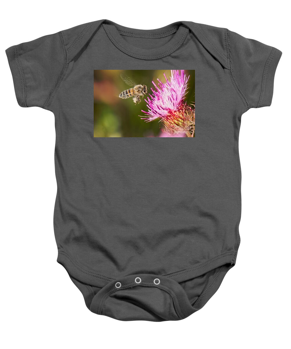 Pink Thistle Baby Onesie featuring the photograph Busy Bee #1 by Judy Kay