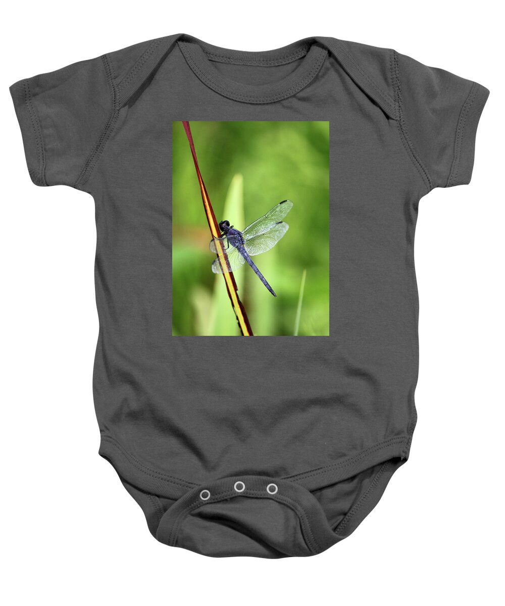 Insect Baby Onesie featuring the photograph Dragonfly9224 #1 by Carolyn Stagger Cokley