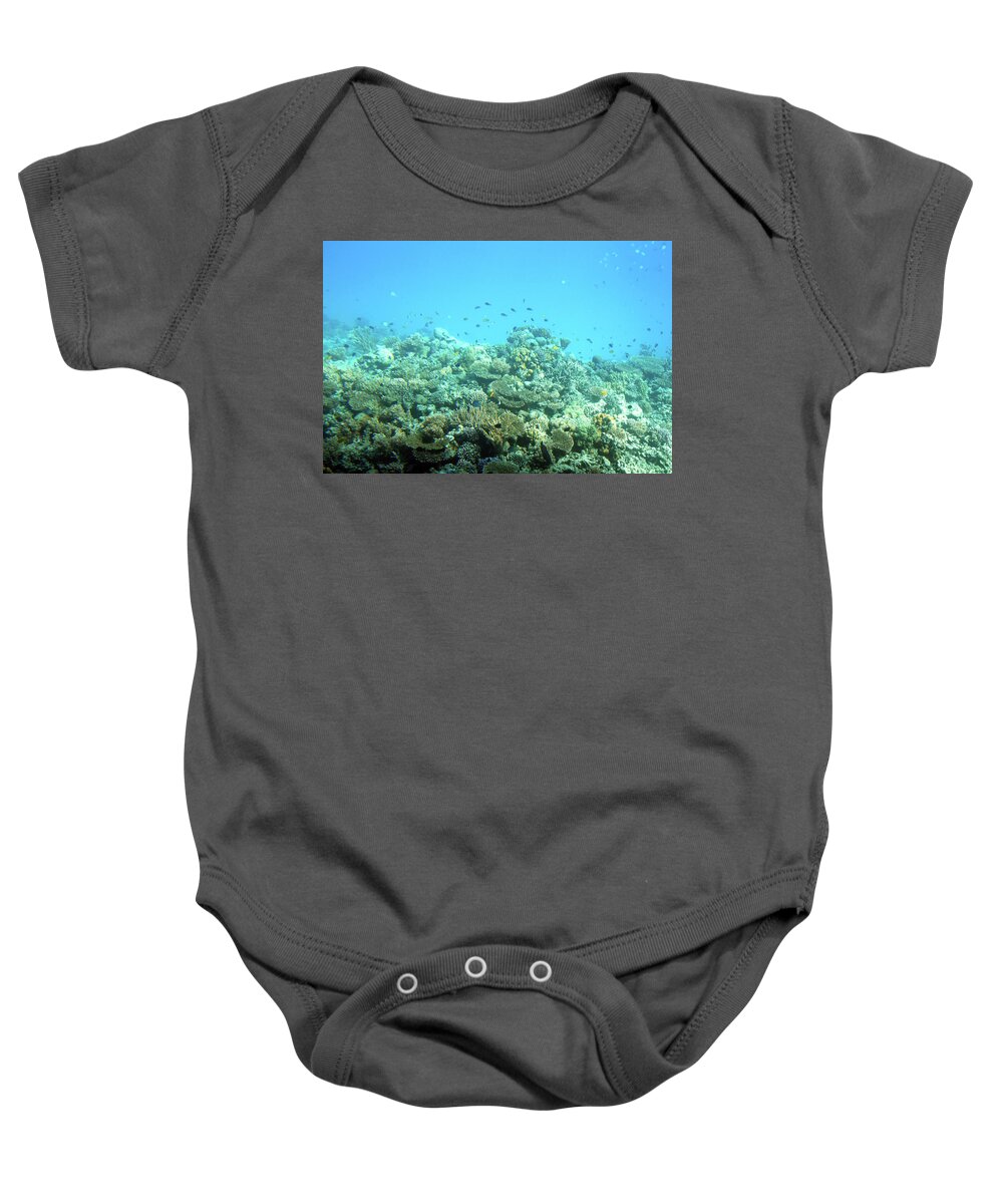 Sea Baby Onesie featuring the photograph fish among corals in Red Sea #1 by Mikhail Kokhanchikov