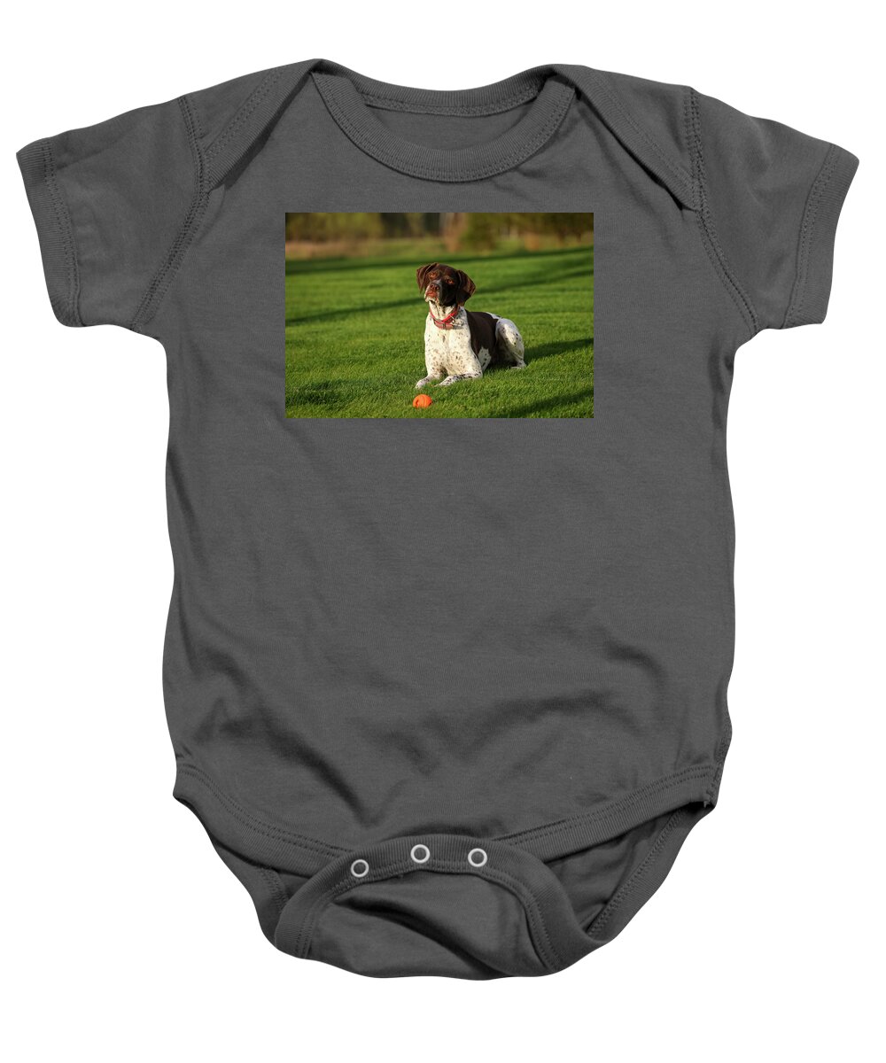 German Shorthaired Baby Onesie featuring the photograph German Shorthaired Pointer by Brook Burling
