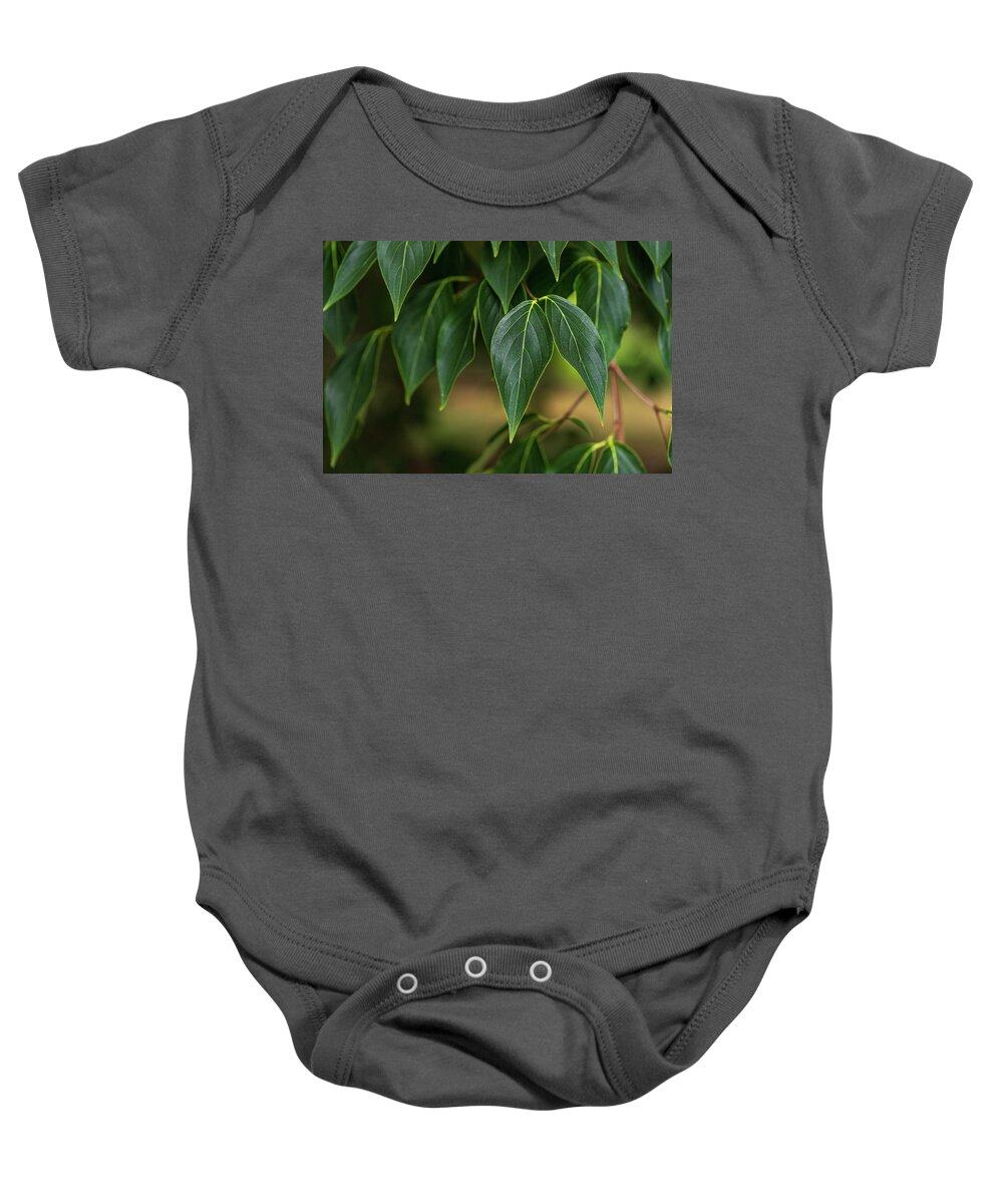 Leaf Baby Onesie featuring the photograph Green Leaves #1 by Amelia Pearn