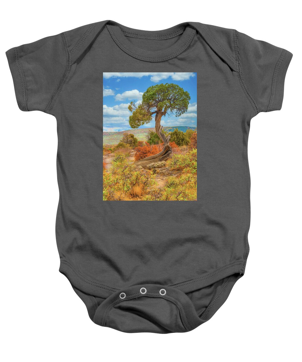 Juniper Tree Baby Onesie featuring the photograph Juniper Tree, Black Canyon of the Gunnison National Park, Colorado by Tom Potter