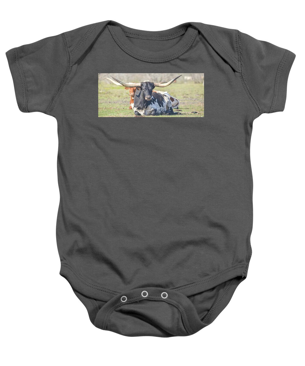 Longhorns Baby Onesie featuring the photograph Longhorns #1 by Christopher Rice