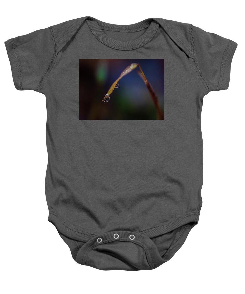 Fall Baby Onesie featuring the photograph Macro Photography - Water Drops on Grass #1 by Amelia Pearn