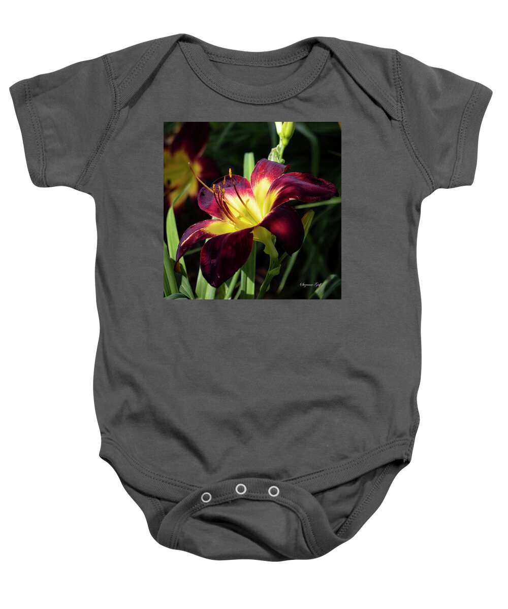 Photograph Baby Onesie featuring the photograph Persian Ruby Daylily II #2 by Suzanne Gaff