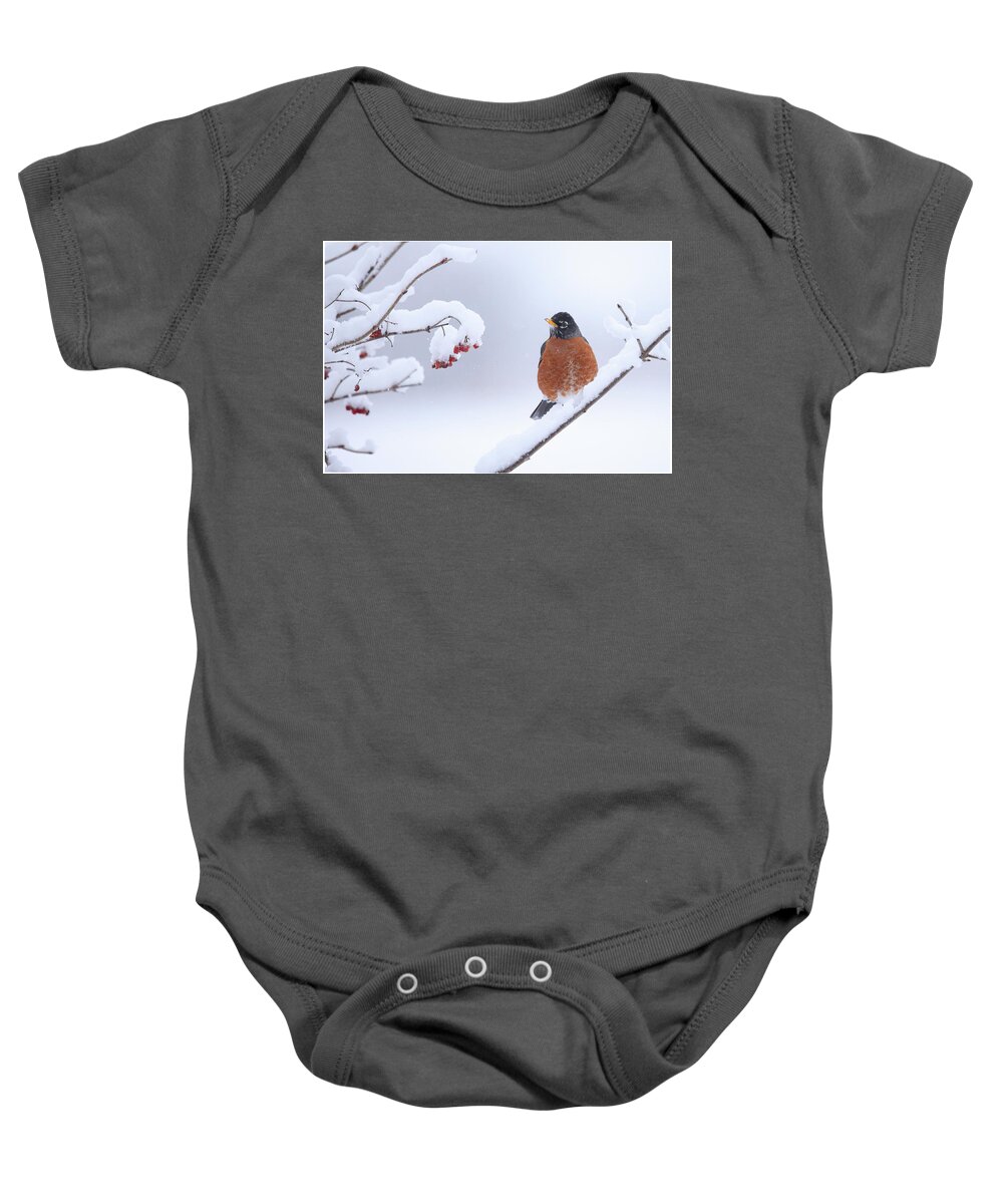 Robin Baby Onesie featuring the photograph Robin #1 by Brook Burling