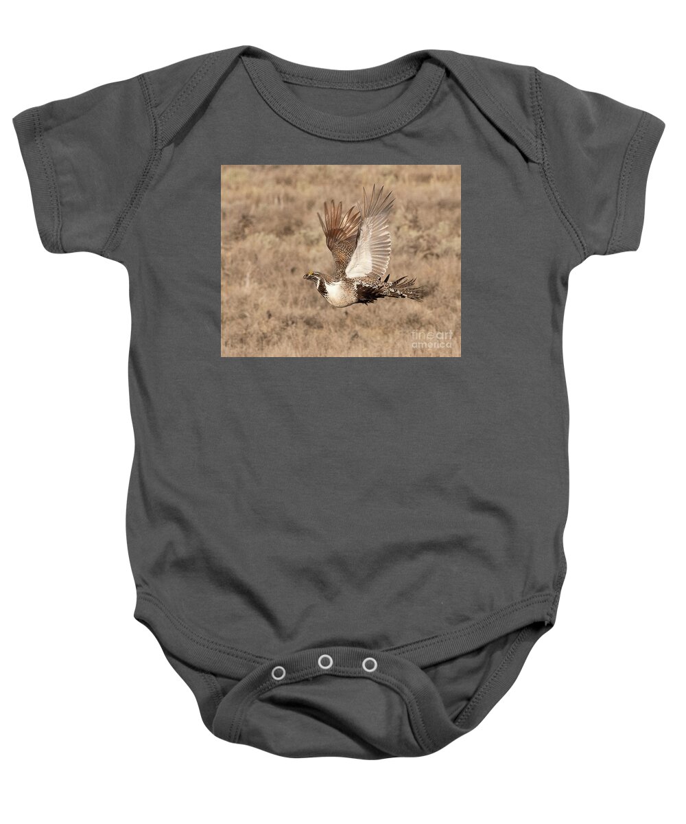 Bird Baby Onesie featuring the photograph Sage Grouse on the Wing #1 by Dennis Hammer