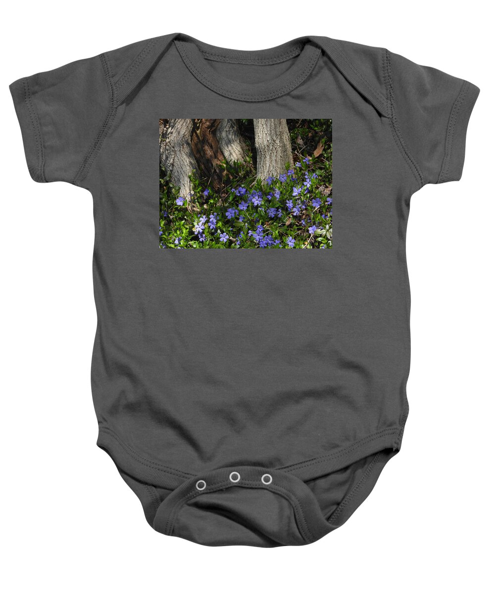 Perwinkle Baby Onesie featuring the photograph Spring Has Sprung #1 by Living Color Photography Lorraine Lynch